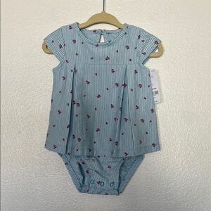 NWT Carter's Blue Striped Baby Dress with Red Floral Print 6 Months